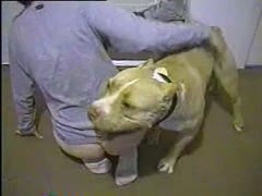 A slut with her beloved dog in a dog pornographic